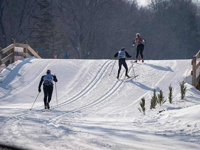 cross country skiing loppet