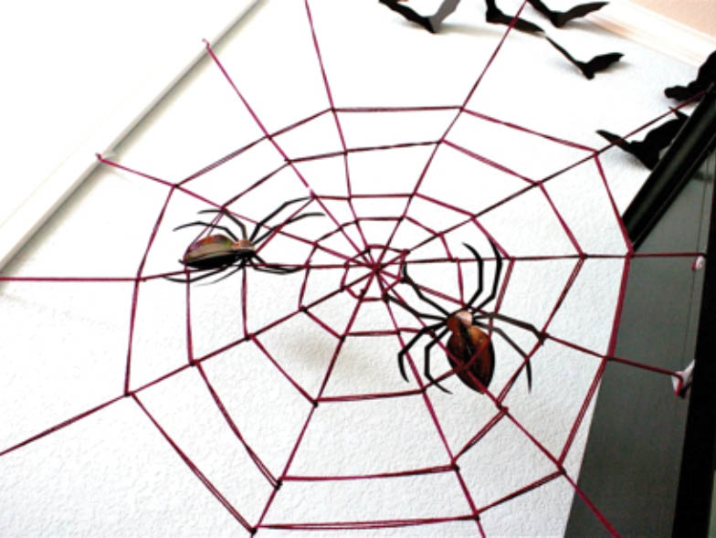 spider web decor
