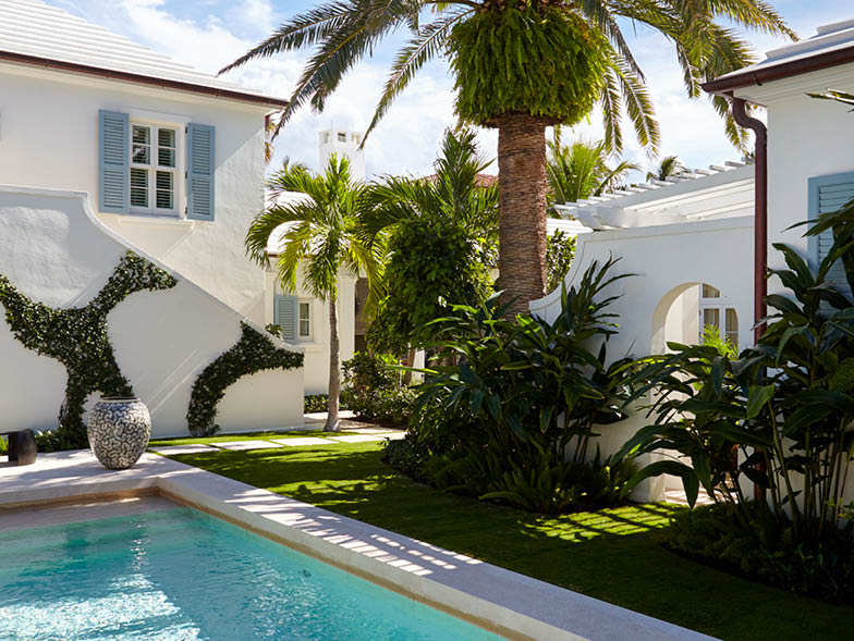 backyard pool with palm trees
