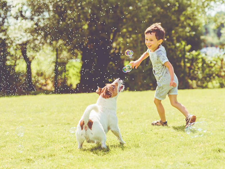 Young child playing with terrier in yard