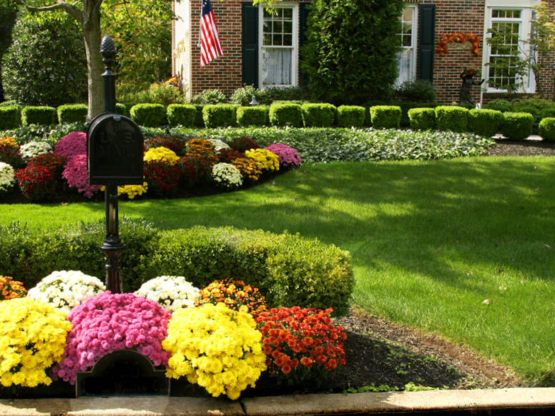 Front yard with flowers planted near curb