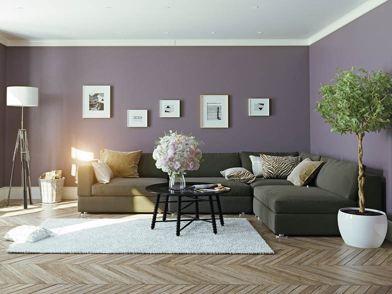Living room with purple walls