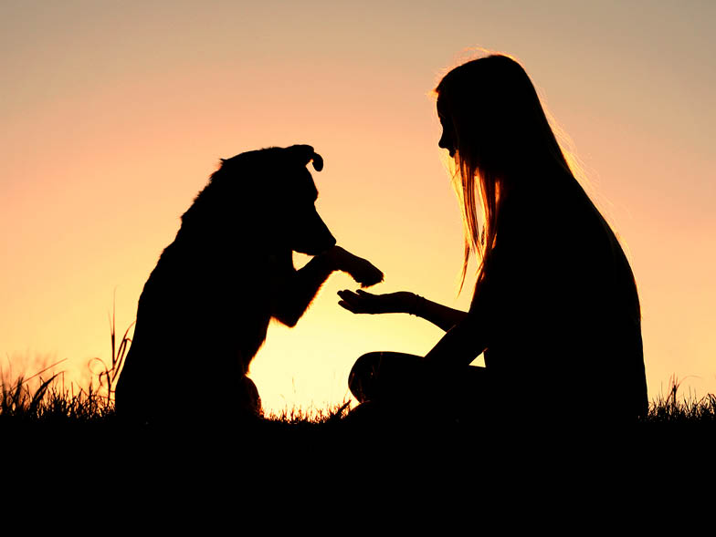 Silhouette of woman and dog in grass