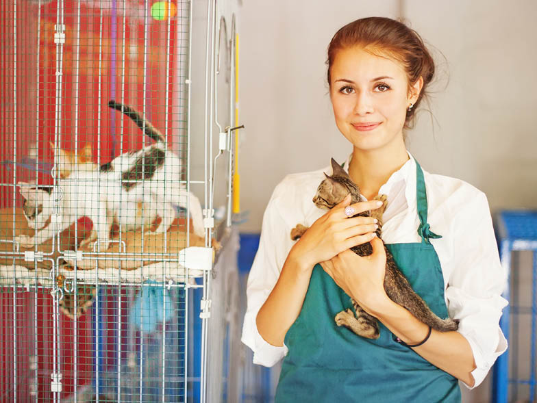 Woman holding kitten with cage of kittens in background