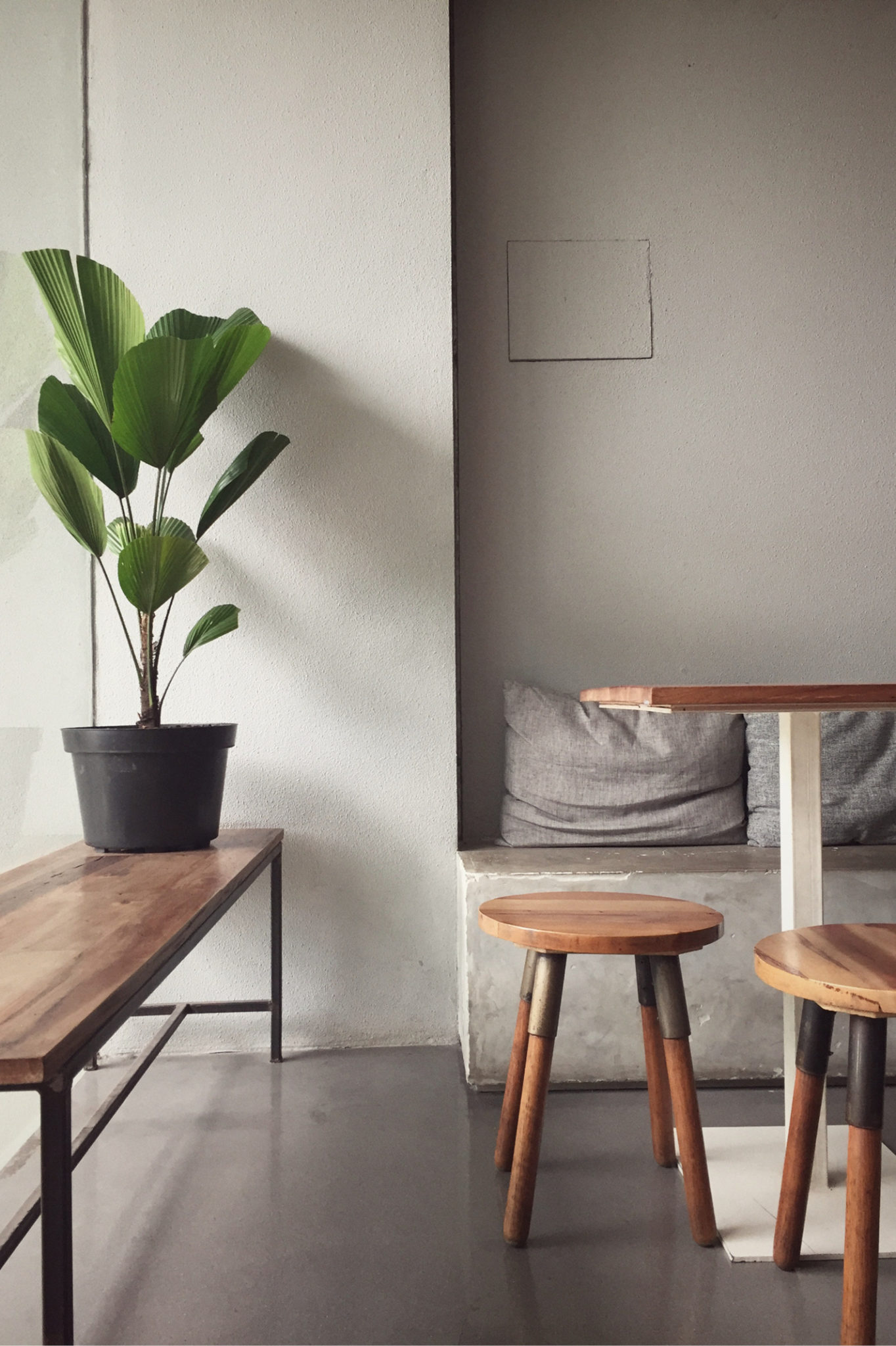 wooden stools and plant in white room