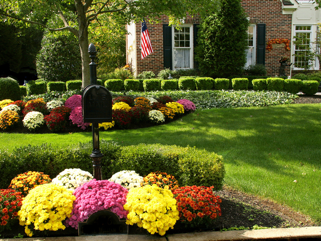 Colorful flowers surrounding mailbox in front yard of home