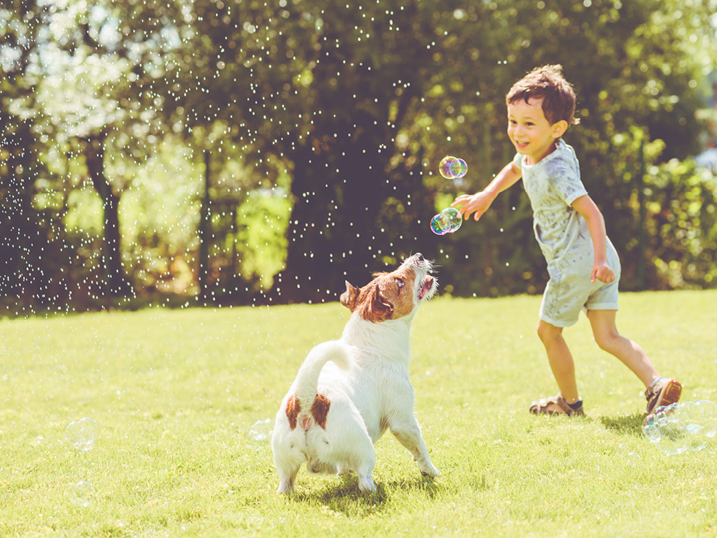 Child running with jack Russel terrier in field with bubbles