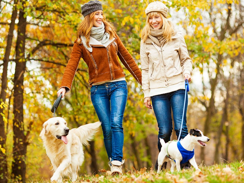 Two women walking dogs