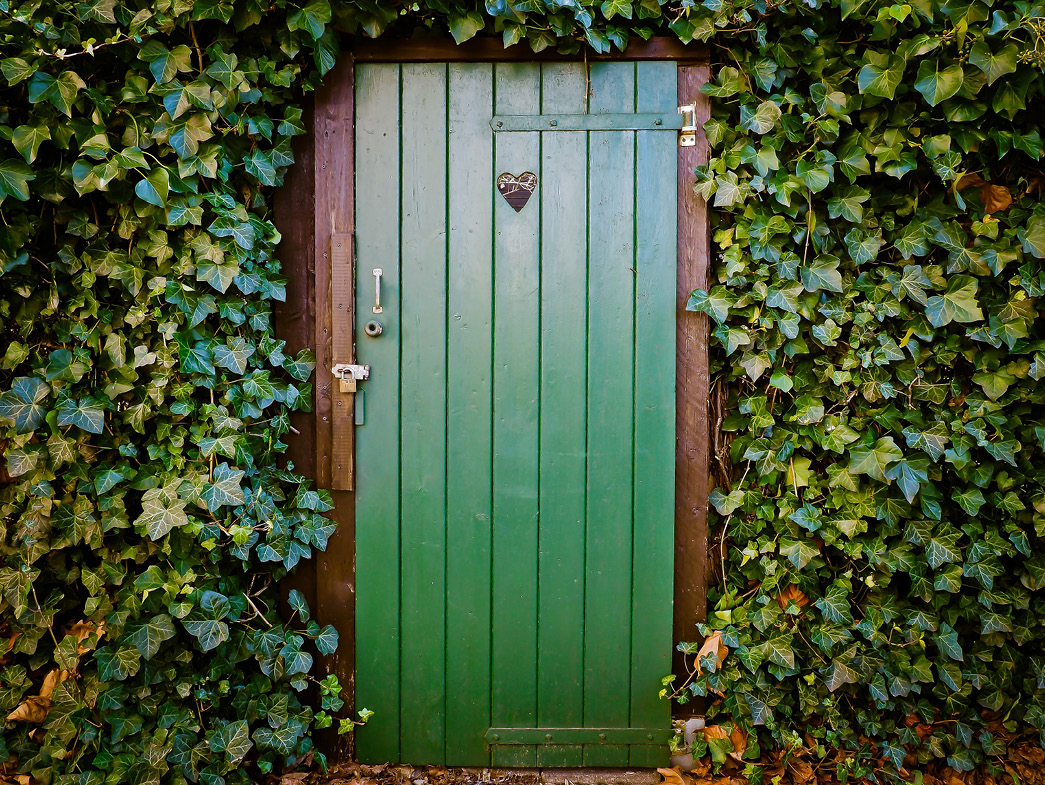 Ivy surrounding wooden green door