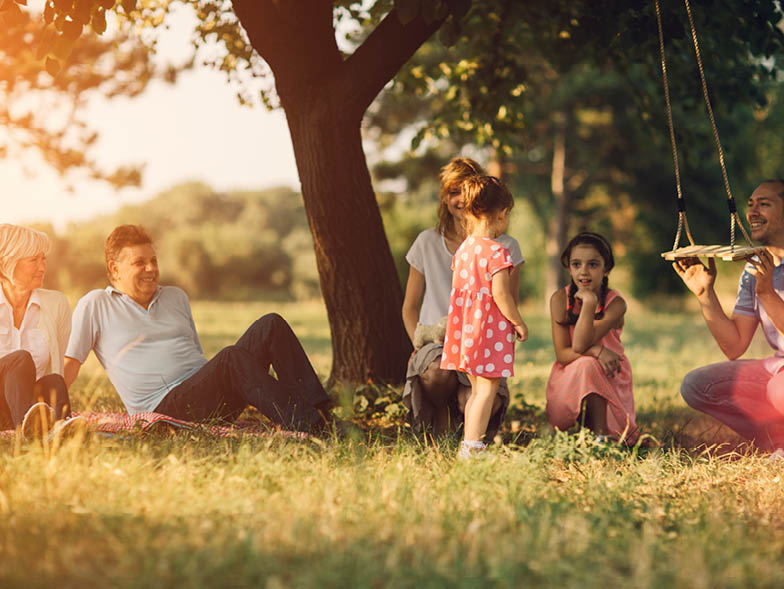 Family on a picnic next to tree with swing