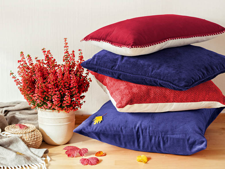 Red and blue throw pillows piled next to red plant with autumn leaves scattered