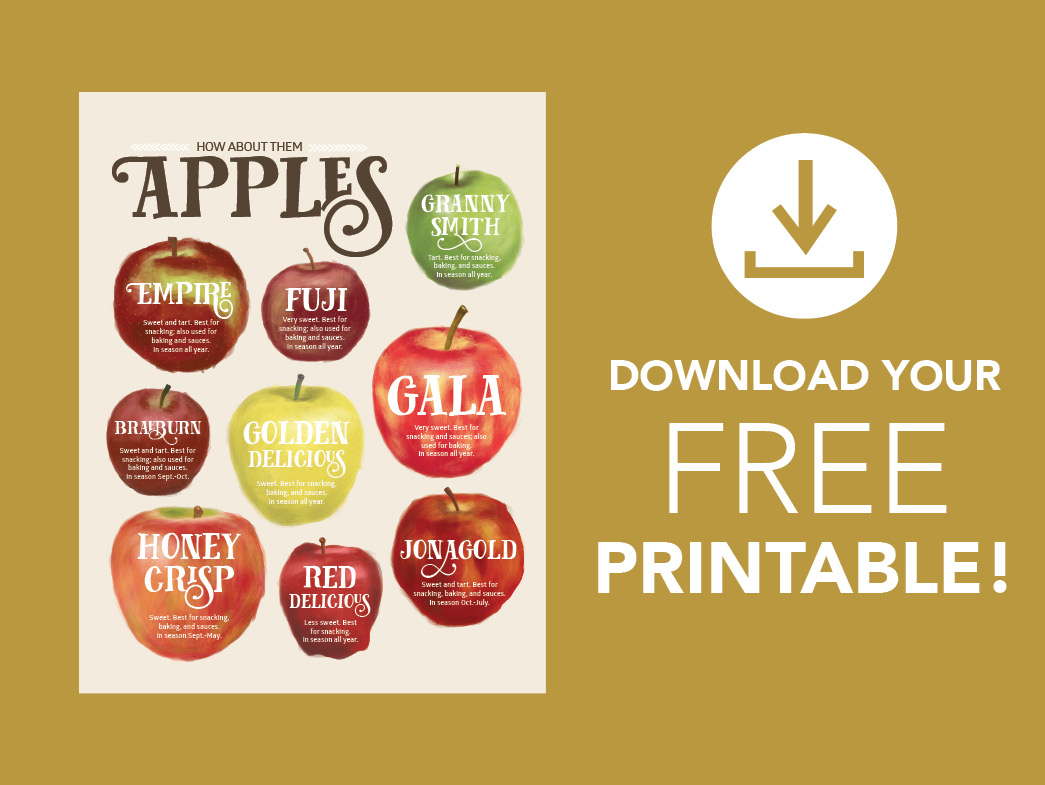 Apple guide printable