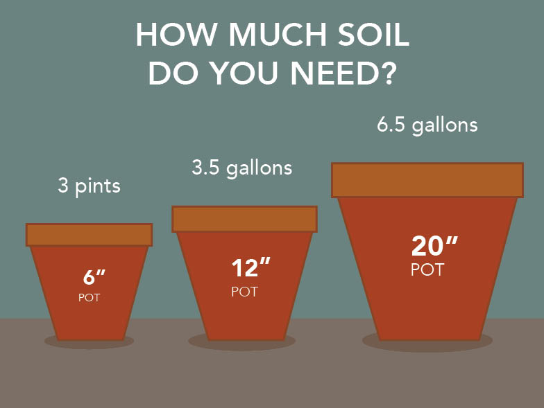 Soil infographic
