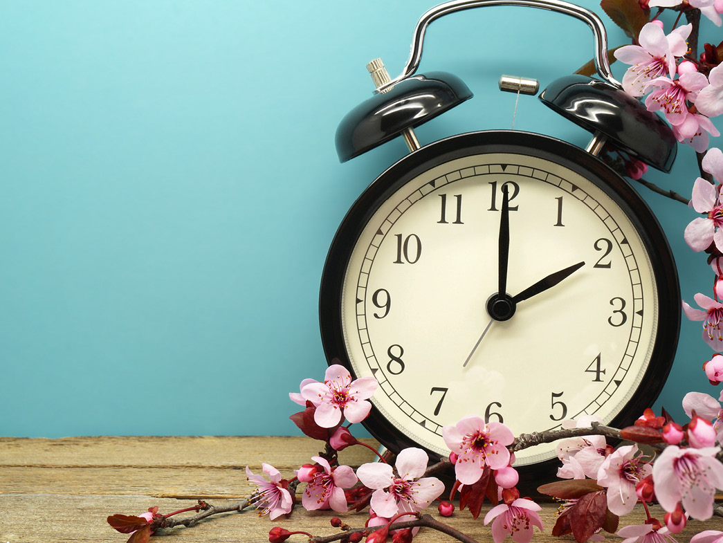 Alarm clock beside pink flowers against blue wall