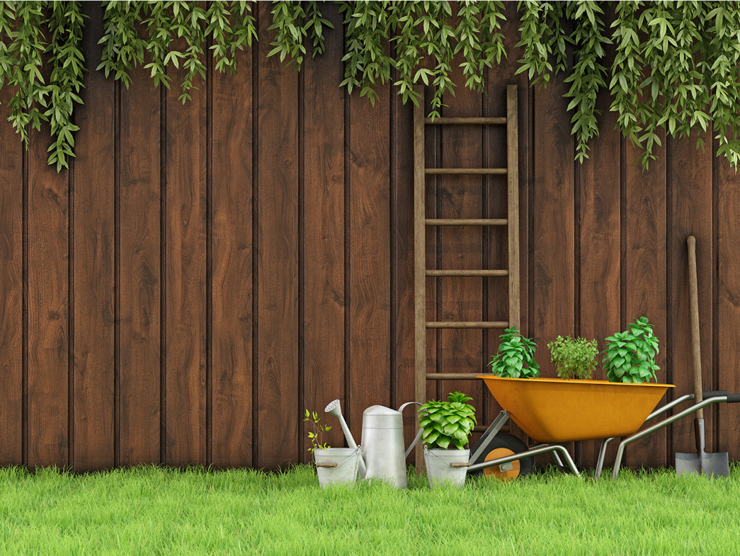 Wooden fence with ladder and wheelbarrow in front