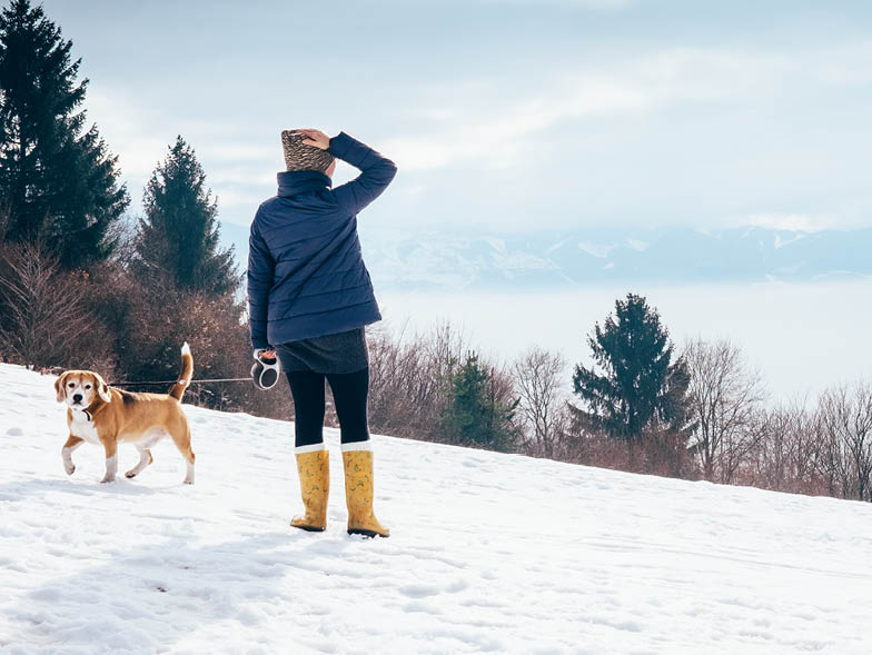 Person walking a dog on a snowy hill