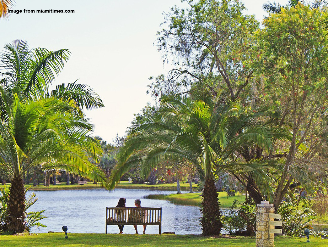 Two people sitting on bench in front of lake beside palm trees