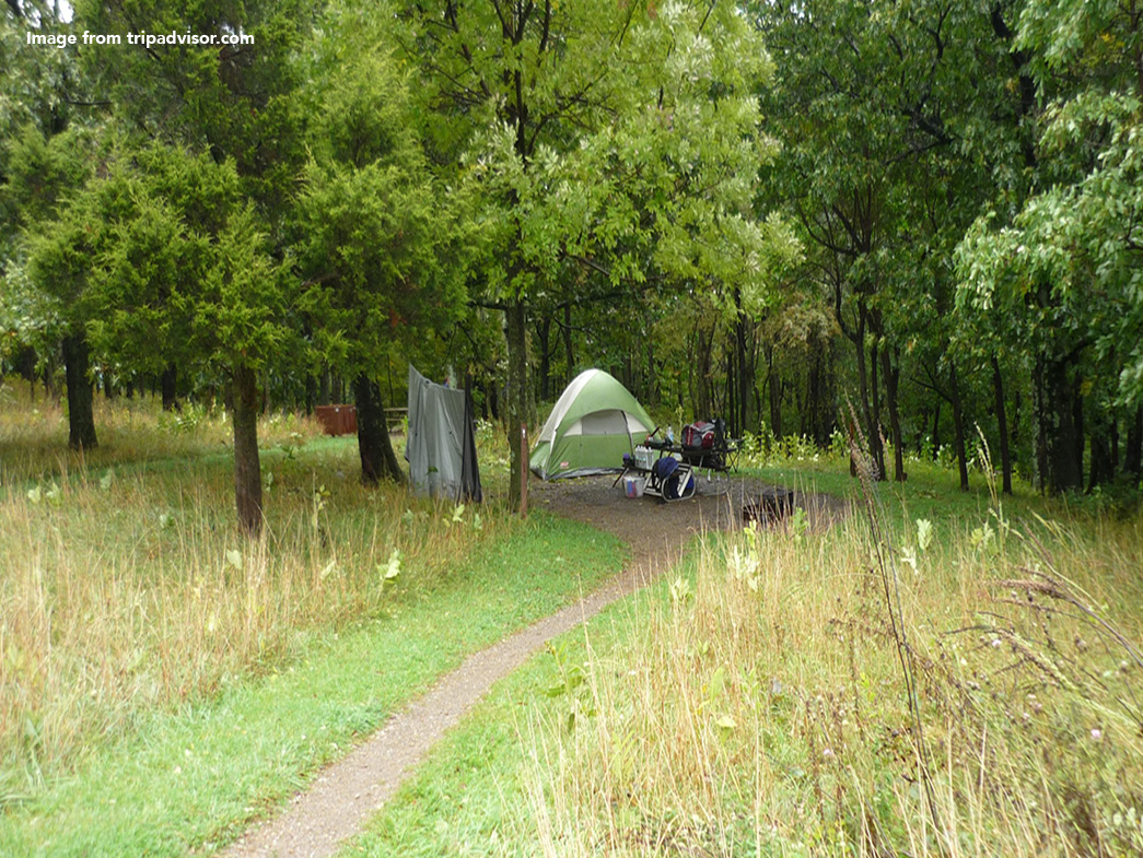 Tent set up under trees