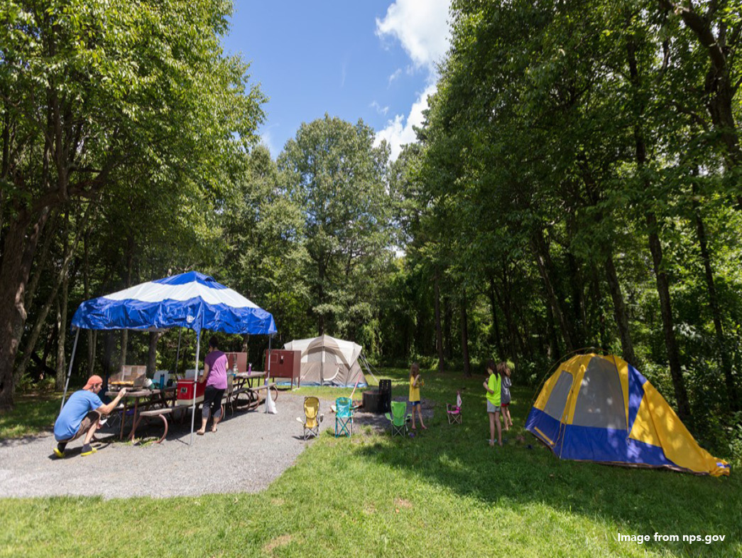 Family with camping area set up in woods