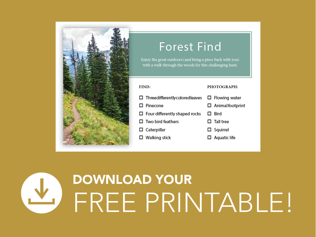 Forest find scavenger hunt Pinterest image