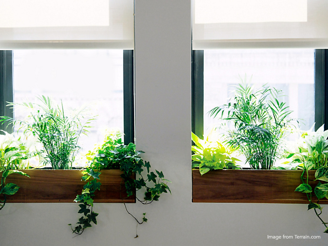 Window planter