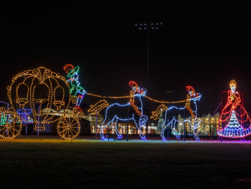 Horse-drawn carriage made out of string lights