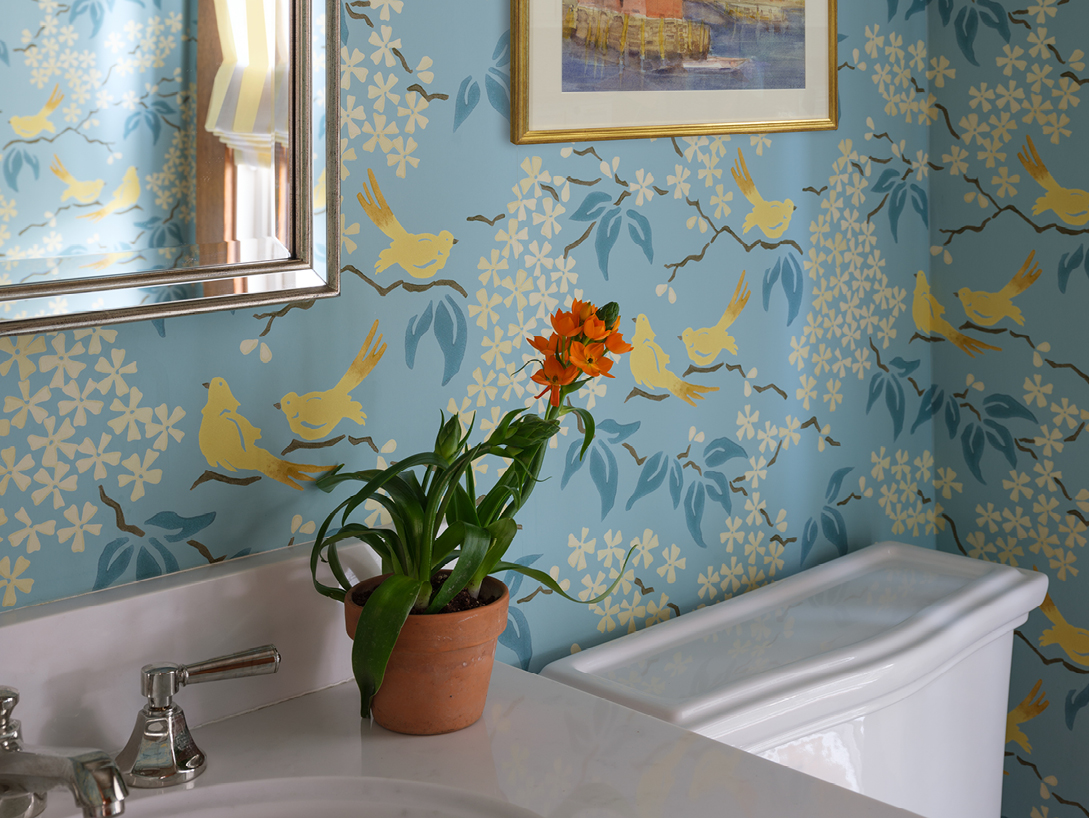 bathroom with blue wallpaper and orange and green plant