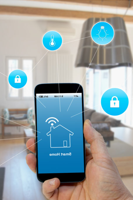 person holding cell phone