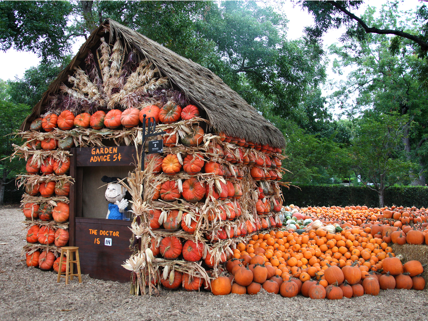 house made of pumpkins
