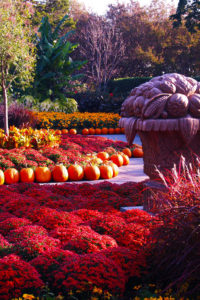 dallas arboretum