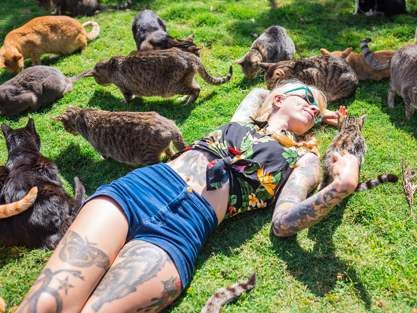 woman lying down surrounded by cats