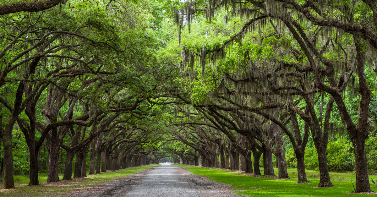 A Savannah Getaway - American Lifestyle Magazine