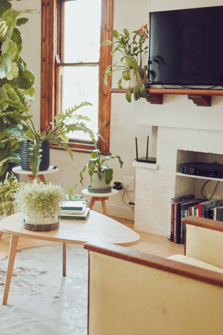 House with plants