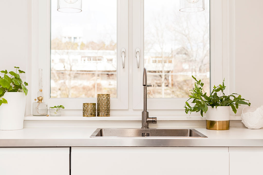 Kitchen sink with plants