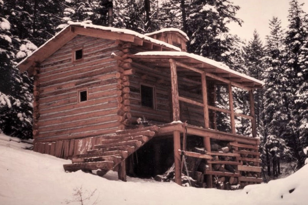 Log cabin
