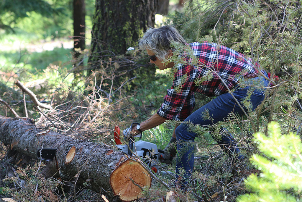 Woman cutting tree limb