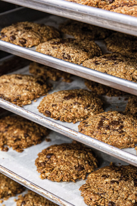 Vegan Oatmeal Raisin Cookies