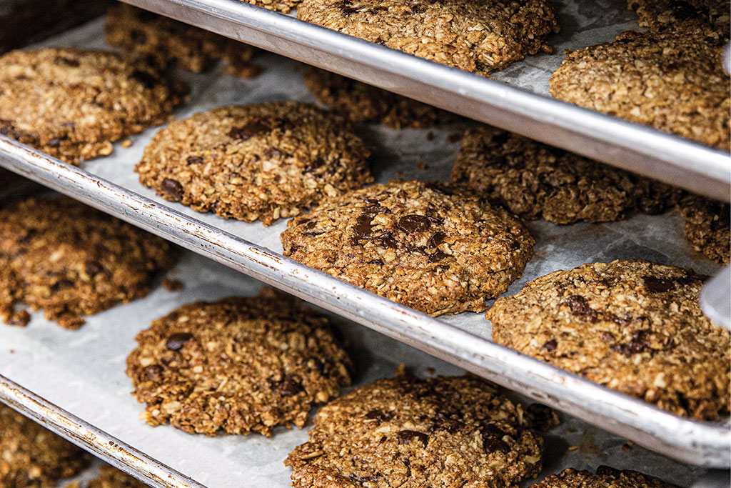 Vegan Oatmeal Raisin Cookies