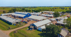 A Texas-Sized Treasure Hunt