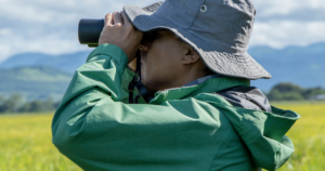 Animal Encounters: How to Enjoy Natural Wildlife